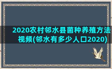 2020农村邻水县菌种养殖方法视频(邻水有多少人口2020)