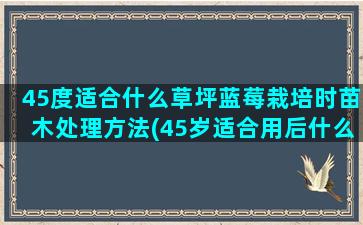 45度适合什么草坪蓝莓栽培时苗木处理方法(45岁适合用后什么系列)