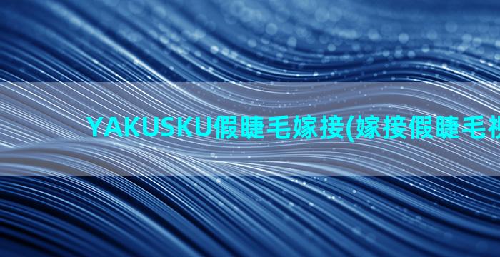 YAKUSKU假睫毛嫁接(嫁接假睫毛视频教程)