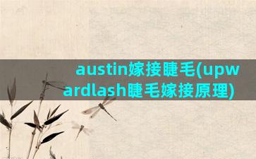 austin嫁接睫毛(upwardlash睫毛嫁接原理)