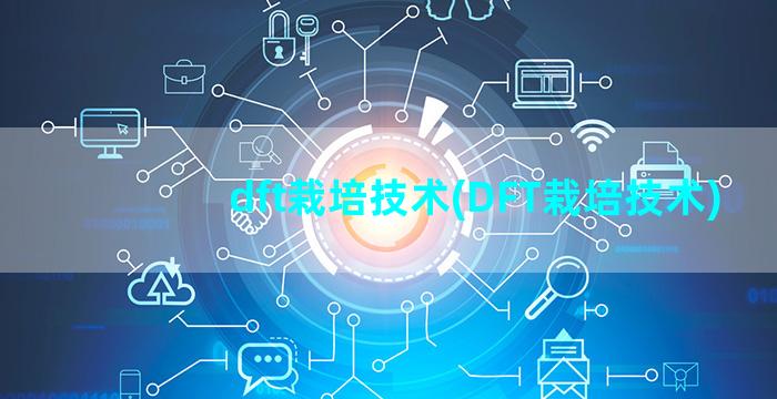 dft栽培技术(DFT栽培技术)