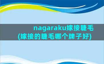 nagaraku嫁接睫毛(嫁接的睫毛哪个牌子好)