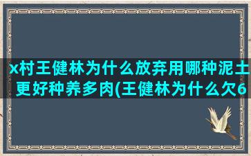 x村王健林为什么放弃用哪种泥土更好种养多肉(王健林为什么欠6000)