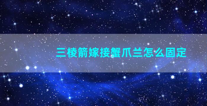 三棱箭嫁接蟹爪兰怎么固定