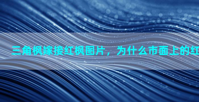 三角枫嫁接红枫图片，为什么市面上的红枫多为嫁接