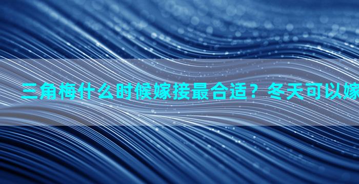 三角梅什么时候嫁接最合适？冬天可以嫁接三角梅吗