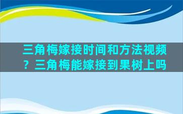 三角梅嫁接时间和方法视频？三角梅能嫁接到果树上吗