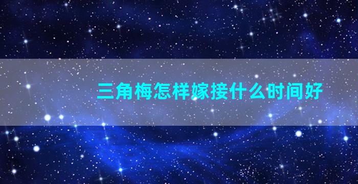 三角梅怎样嫁接什么时间好