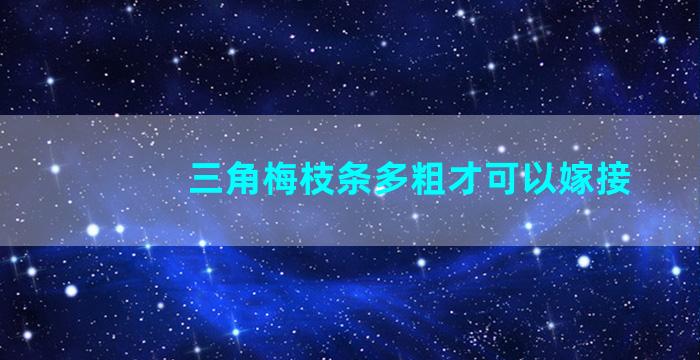 三角梅枝条多粗才可以嫁接