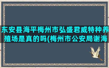 东安县海平梅州市弘盛君威特种养殖场是真的吗(梅州市公安局谢海平)