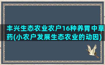 丰兴生态农业农户16种养胃中草药(小农户发展生态农业的动因)