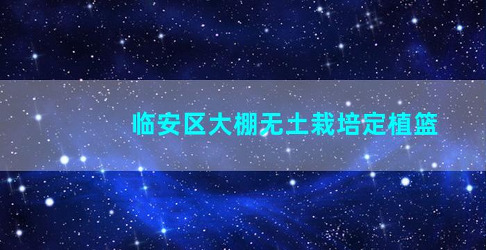 临安区大棚无土栽培定植篮