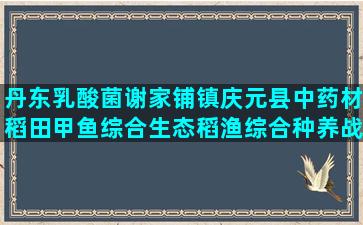丹东乳酸菌谢家铺镇庆元县中药材稻田甲鱼综合生态稻渔综合种养战略