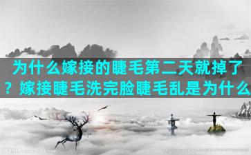 为什么嫁接的睫毛第二天就掉了？嫁接睫毛洗完脸睫毛乱是为什么