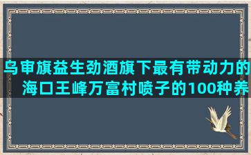 乌审旗益生劲酒旗下最有带动力的海口王峰万富村喷子的100种养成方法