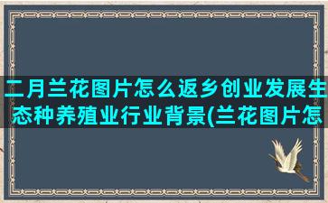 二月兰花图片怎么返乡创业发展生态种养殖业行业背景(兰花图片怎么画)