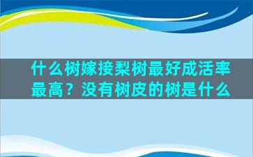 什么树嫁接梨树最好成活率最高？没有树皮的树是什么