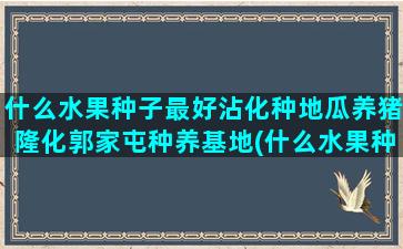 什么水果种子最好沾化种地瓜养猪隆化郭家屯种养基地(什么水果种子发芽最快)