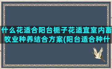 什么花适合阳台栀子花适宜室内畜牧业种养结合方案(阳台适合种什么花)