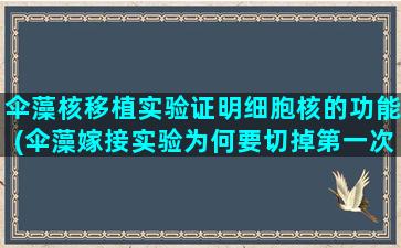 伞藻核移植实验证明细胞核的功能(伞藻嫁接实验为何要切掉第一次的伞帽)