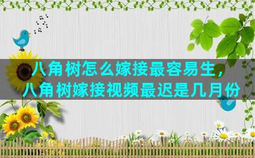 八角树怎么嫁接最容易生，八角树嫁接视频最迟是几月份