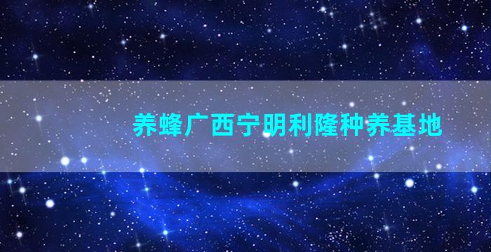 养蜂广西宁明利隆种养基地