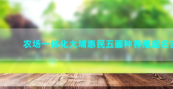 农场一体化大埔惠民五画种养殖起名吉利字