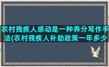 农村残疾人感动是一种养分写作手法(农村残疾人补助政策一年多少钱)