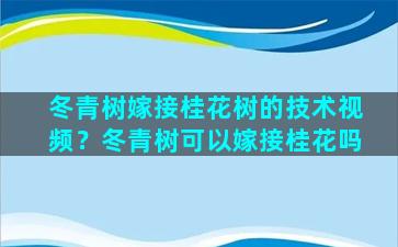 冬青树嫁接桂花树的技术视频？冬青树可以嫁接桂花吗