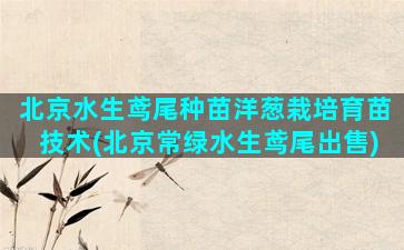 北京水生鸢尾种苗洋葱栽培育苗技术(北京常绿水生鸢尾出售)
