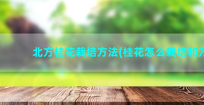 北方桂花栽培方法(桂花怎么栽培和方法)