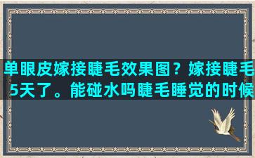 单眼皮嫁接睫毛效果图？嫁接睫毛5天了。能碰水吗睫毛睡觉的时候左眼压乱了怎么办