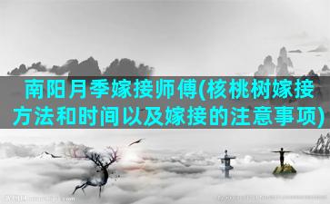 南阳月季嫁接师傅(核桃树嫁接方法和时间以及嫁接的注意事项)