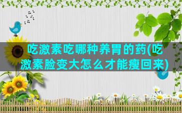 吃激素吃哪种养胃的药(吃激素脸变大怎么才能瘦回来)