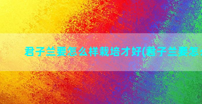 君子兰要怎么样栽培才好(君子兰要怎么样养)