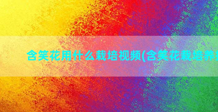 含笑花用什么栽培视频(含笑花栽培养护要点)