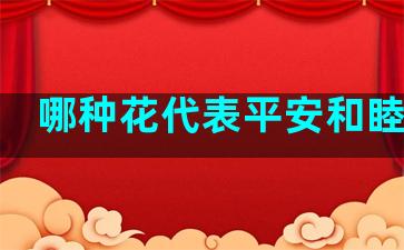 哪种花代表平安和睦幸福