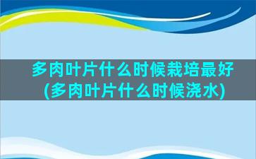 多肉叶片什么时候栽培最好(多肉叶片什么时候浇水)