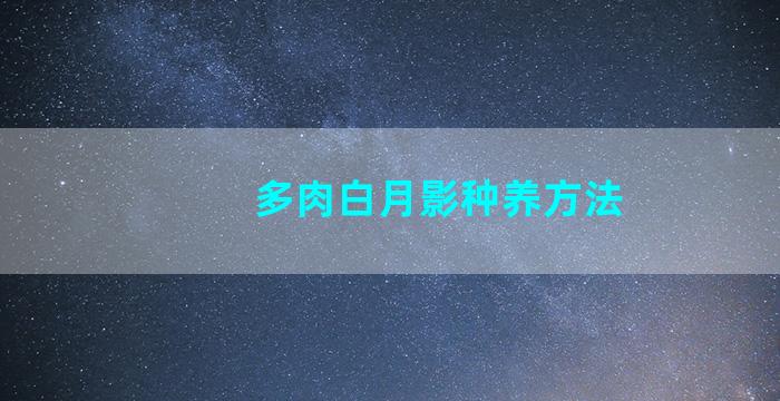 多肉白月影种养方法