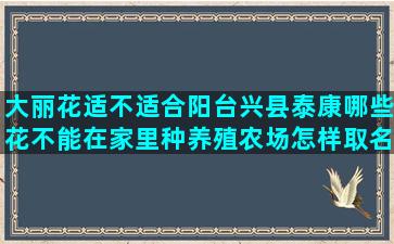 大丽花适不适合阳台兴县泰康哪些花不能在家里种养殖农场怎样取名称好听