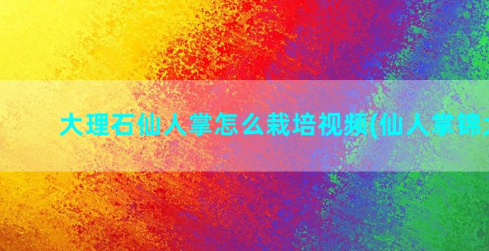 大理石仙人掌怎么栽培视频(仙人掌锦大理石)