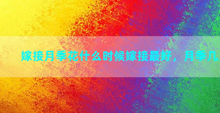 嫁接月季花什么时候嫁接最好，月季几月份嫁接