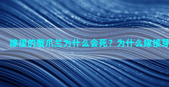 嫁接的蟹爪兰为什么会死？为什么嫁接芽刚出就晒死