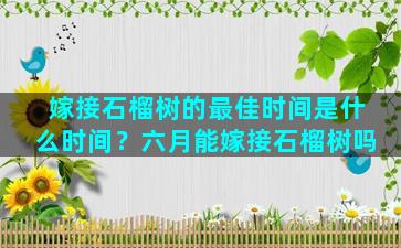 嫁接石榴树的最佳时间是什么时间？六月能嫁接石榴树吗