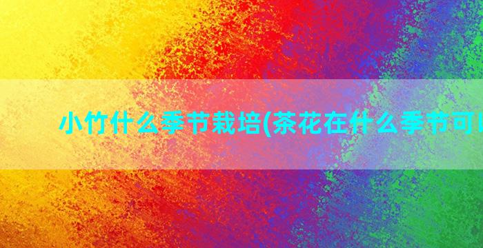 小竹什么季节栽培(茶花在什么季节可以栽培)