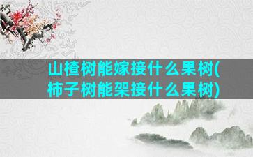 山楂树能嫁接什么果树(柿子树能架接什么果树)