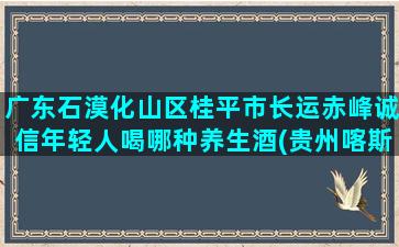 广东石漠化山区桂平市长运赤峰诚信年轻人喝哪种养生酒(贵州喀斯特山区石漠化)