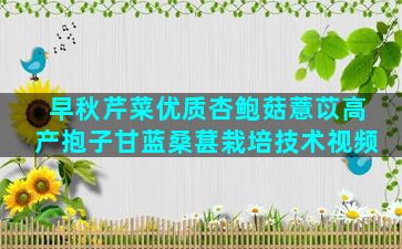 早秋芹菜优质杏鲍菇薏苡高产抱子甘蓝桑葚栽培技术视频