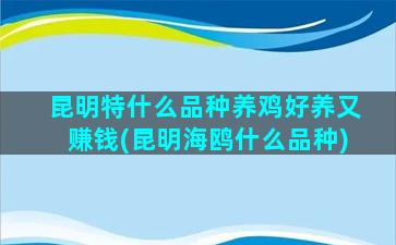 昆明特什么品种养鸡好养又赚钱(昆明海鸥什么品种)