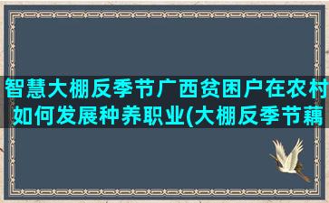 智慧大棚反季节广西贫困户在农村如何发展种养职业(大棚反季节藕带种植)